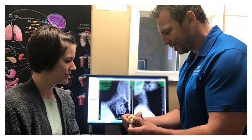 chiropractor contact us
